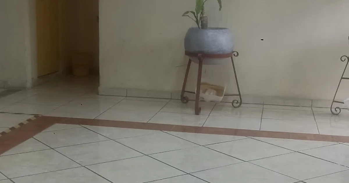 Baños de vapor Juarez