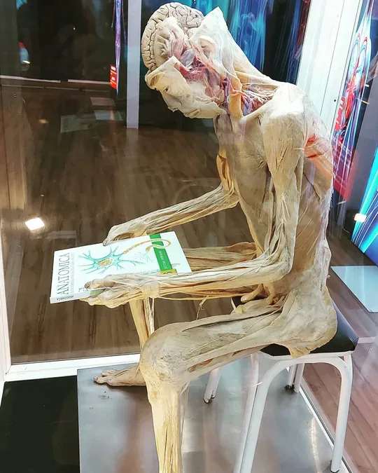 Spa Kadosh · foto 3