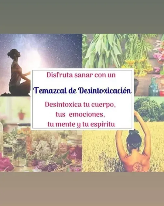 Temazcal relajante las flores · foto 3
