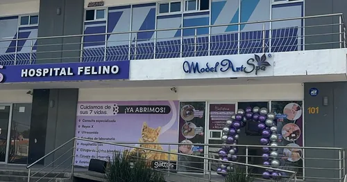 Model Art Spa Cedros, sPA en Mineral de la Reforma, Hidalgo
