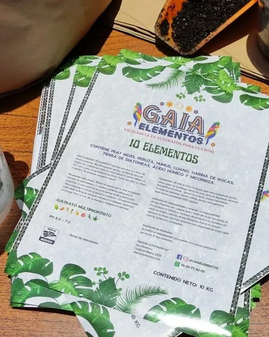 Gaia Elementos · foto 2