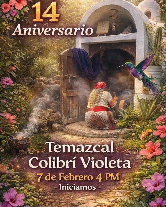 Temazcal Colibrí Violeta · foto 3