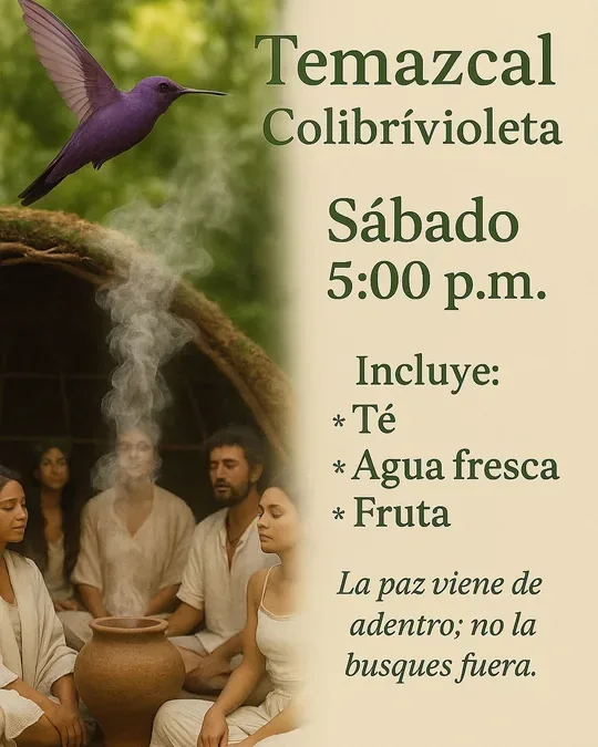 Temazcal Colibrí Violeta · foto 4