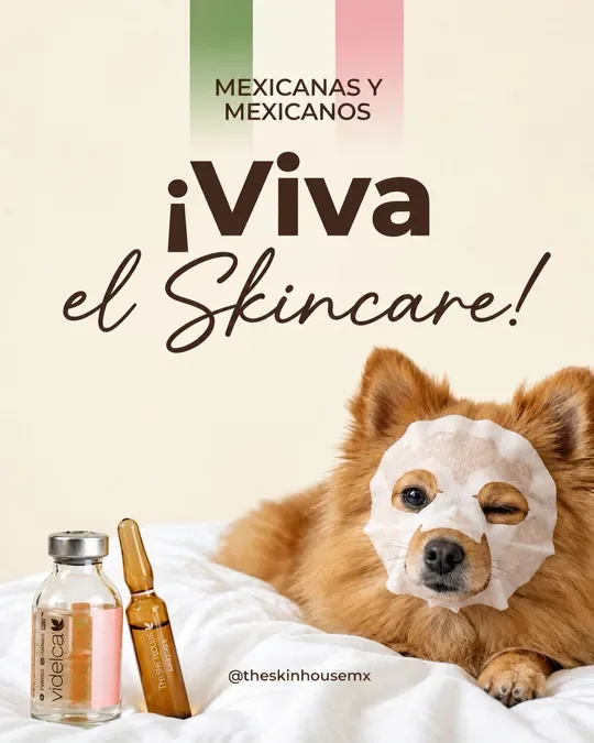 Skin House · foto 3
