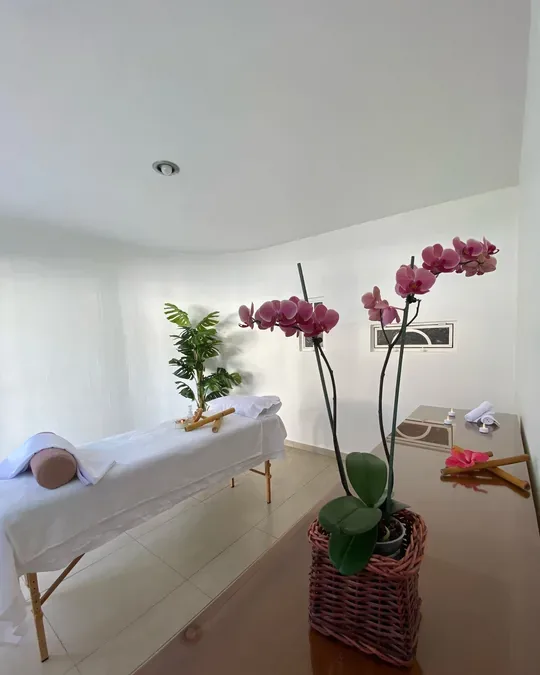 Armonía Massage · foto 2
