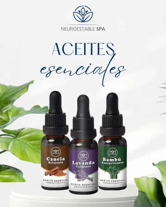 Neuroestable Spa · foto 1