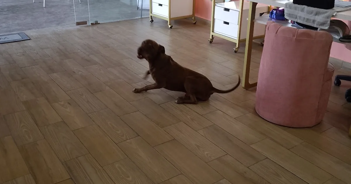 Belle Belle Spa