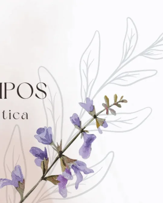 Casa Salvia – Mixología Facial · foto 3