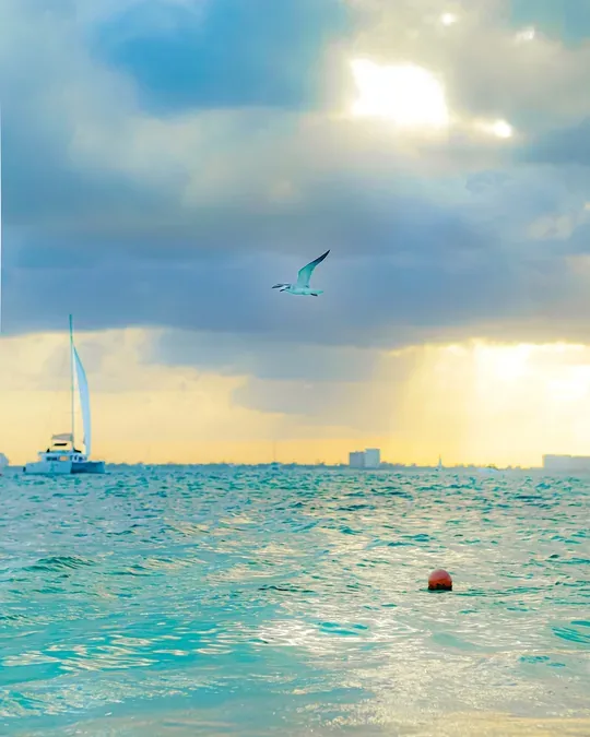 Sunset Spa Isla Mujeres · foto 4