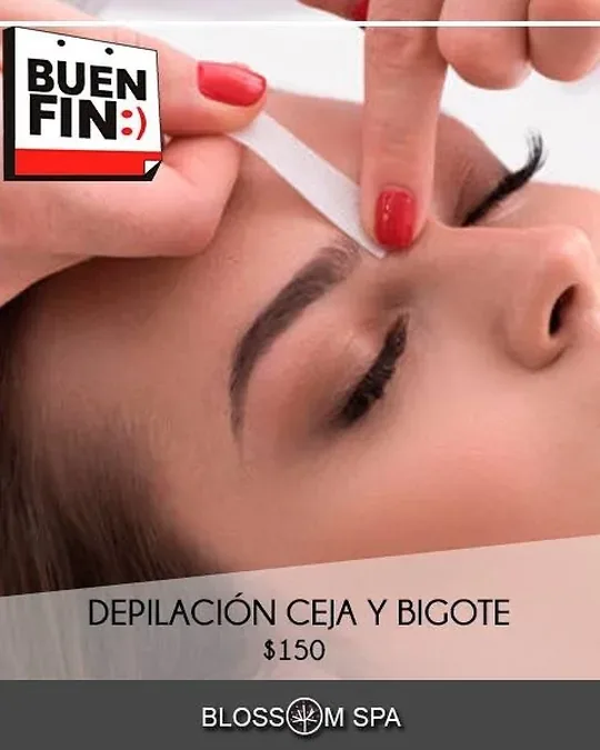 Blossom Spa · foto 2