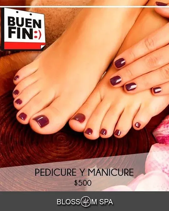 Blossom Spa · foto 3
