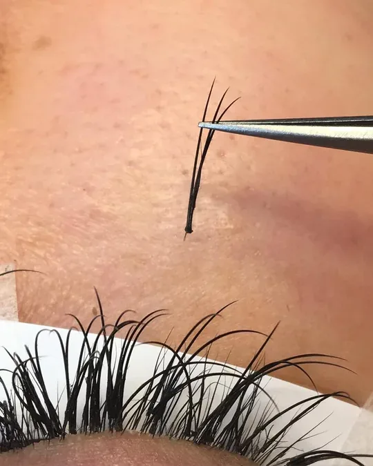 ROYAL LASHES · foto 2