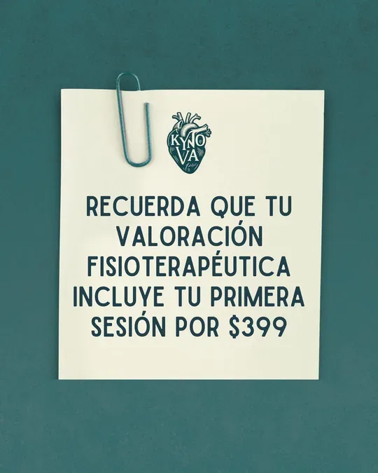 KYNOVA Fisioterapia & Spa · foto 4
