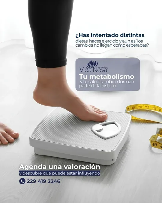 VIDA NOVA · foto 4
