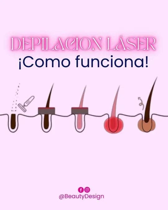 Beauty Design · foto 3
