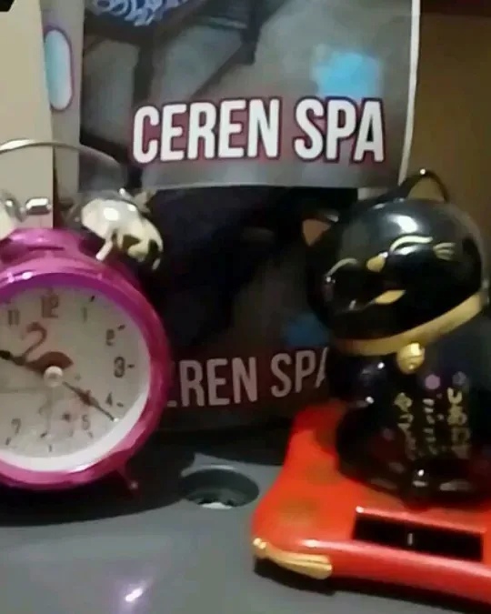 Ceren Spa · foto 1